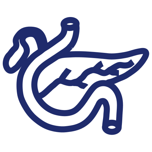 endokrinologie_roemerwallklinik