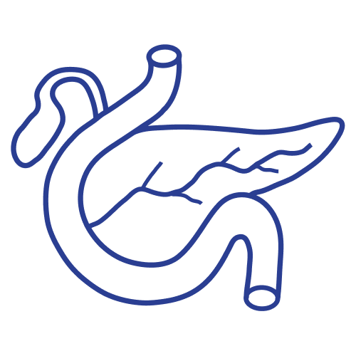 endokrinologie_roemerwallklinik__